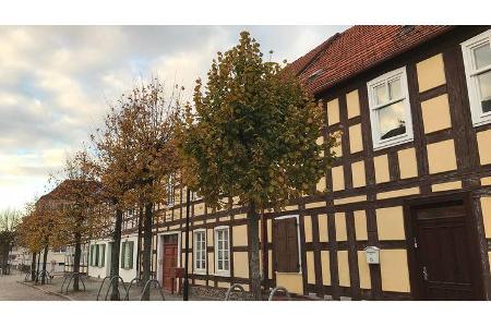 Zur einmaligen Verwendung - Uckermark