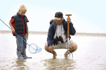 Wattwandern Nordsee
