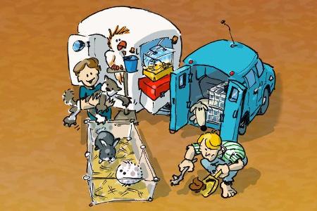 Cartoon Camper-Typen