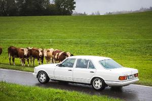 Lohnt sich die Restaurierung eines Oldtimers?
