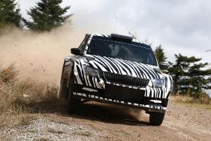 Rallye-Fabia im Härtetest