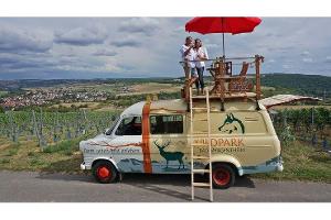 Campen im Oldtimer mit Dachterrasse