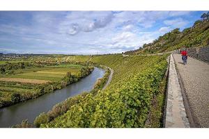 Mittelalterliche Städte, Weinberge & der Neckar