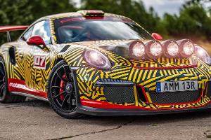 Der Offroad-Elfer, den Porsche nicht baut