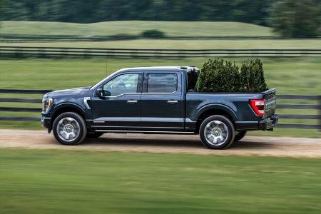 Ford Pickup-Truck F-150 2021