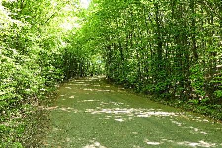 Nürburgring - Südschleife