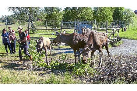 Leser-Tour Ostsee