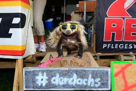 Fans - 24h-Rennen Nürburgring 2019 - Nordschleife