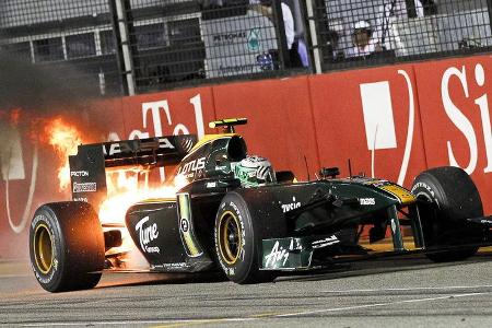 Lotus in Flammen