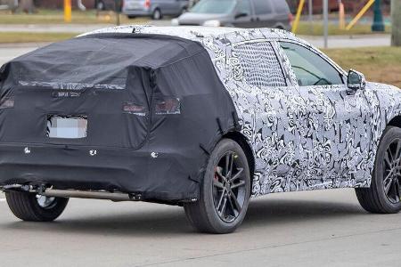 Erlkönig Ford Evos