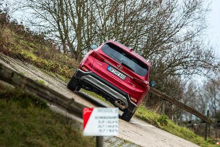 Hyundai Santa Fe, Leser-Testdrive