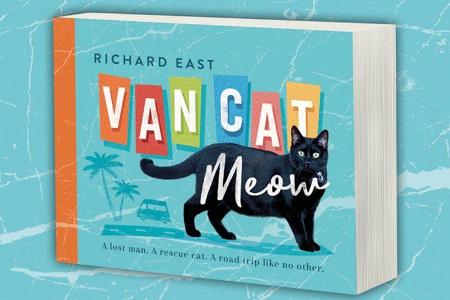 VanCatMeow (2019)