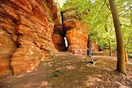 südlicher Pfälzerwald Altschlossfelsen