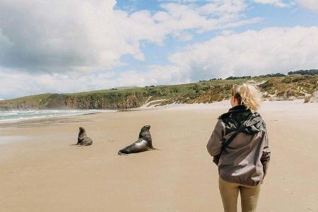 Campingbus-Tour Neuseeland