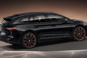 Preise für den Elektro-Skoda