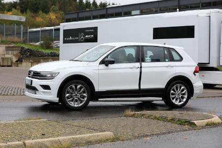 Erlkönig Skoda EV