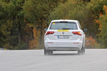 Erlkönig Skoda EV