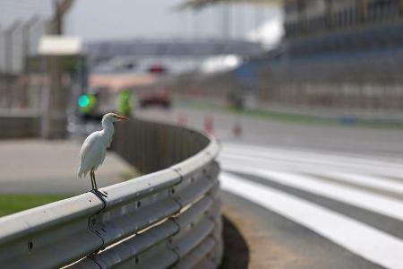 Impressionen - Formel 1 - GP Bahrain - 28. März 2019