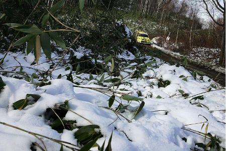 Dann ging es endlich auf die verschneiten Schotterpisten.