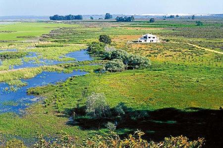 Nationalpark Coto de Doñana