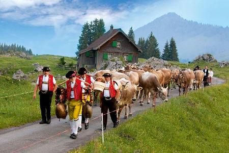 Traditionelle Alpfahrt auf die Schwägalp.