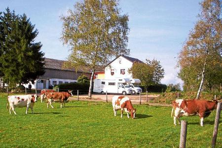 Stellplatz am Birkenhof in Hillesheim