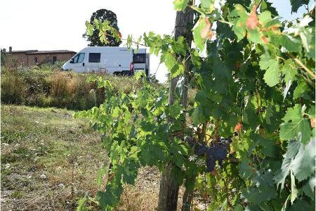 Das Agriturismo Podere dell'Albergo ist ein wahrer Garten Eden.