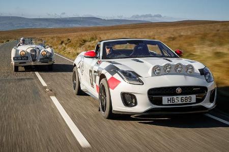 Jaguar F-Type Rallye-Version - 2018