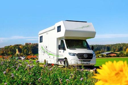 Dopfer 492 A (2019)