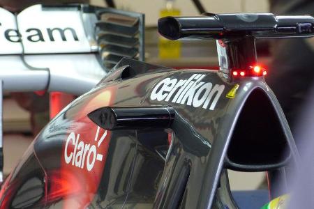 Sauber - Formel 1 - Test - Jerez - 29. Januar 2014