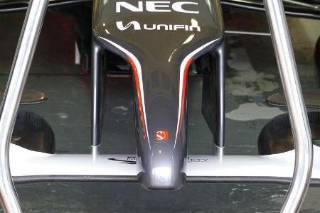 Sauber - Formel 1 - Test - Jerez - 29. Januar 2014