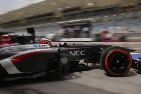 Sauber GP Bahrain 2013