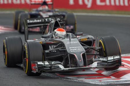 Adrian Sutil - GP Ungarn 2014