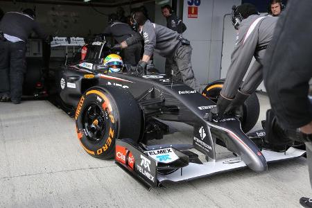 Esteban Gutierrez - Sauber - Formel 1 - Jerez-Test - 28. Januar 2014
