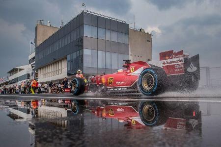 Fernando Alonso - GP Ungarn 2014 - Danis Bilderkiste