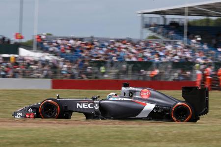Adrian Sutil - GP England 2014