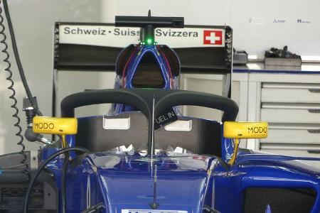 Sauber - GP Brasilien - Interlagos - Freitag - 11.11.2016