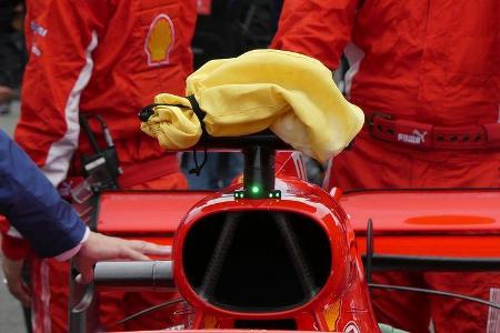 Ferrari Eisbeutel - GP Italien 2018