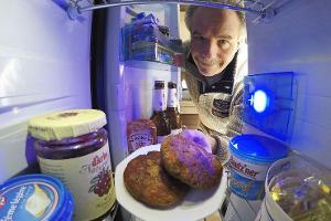 Absorber- oder Kompressor-Kühlschrank?