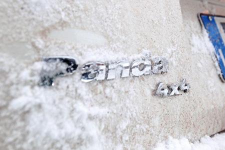 Fiat Panda 4X4, Typenbezeichnung, Emblem