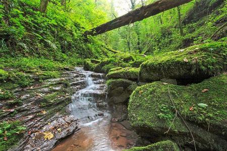 Stellplatz-Tipps im Odenwald