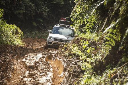 Range Rover im Dschungel