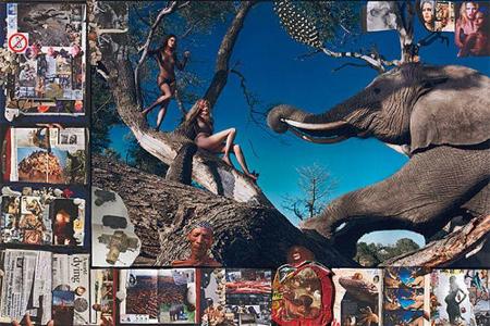 Pirelli-Kalender 2009