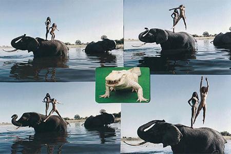 Pirelli-Kalender 2009