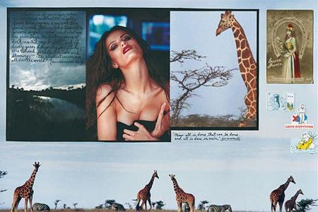 Pirelli-Kalender 2009