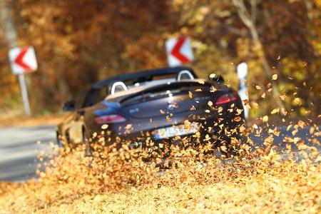 Mercedes SLS AMG Roadster