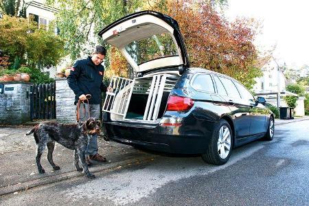 BMW 528i Touring, Hundetransport