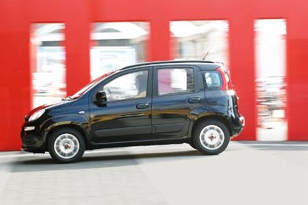 Fiat Panda 1.3 Multijet 16V Lounge, Seitenansicht