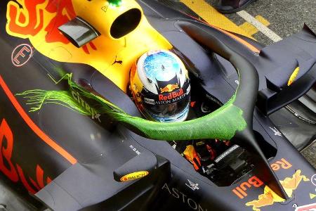 Red Bull - Halo - F1-Test - Barcelona - 2018