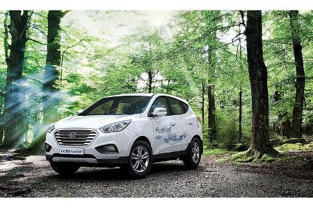 Platz 10: HYUNDAI IX35. Das Modell kommt im Gesamtjahr 2017 auf 18 Pkw-Neuzulassungen.